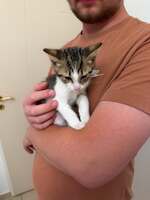 Adopter : Titan