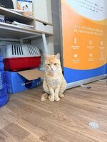 Adopter : Rubio