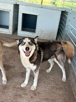 Adopter : Emma