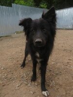 Adopter : Eowyn