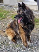 Adopter : Nicky