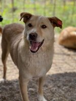 Adopter : Timéo