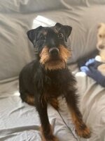 Adopter : Valeria