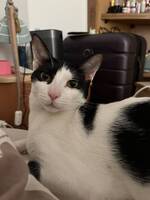 Adopter : Elias