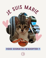 Adopter : Marie