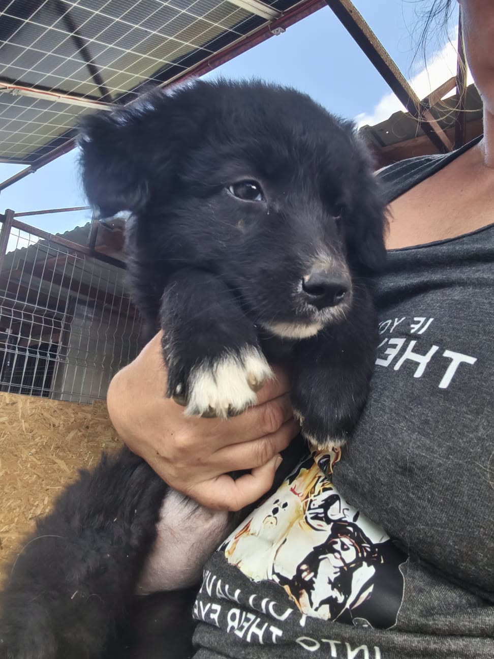 Adopter SONIA
