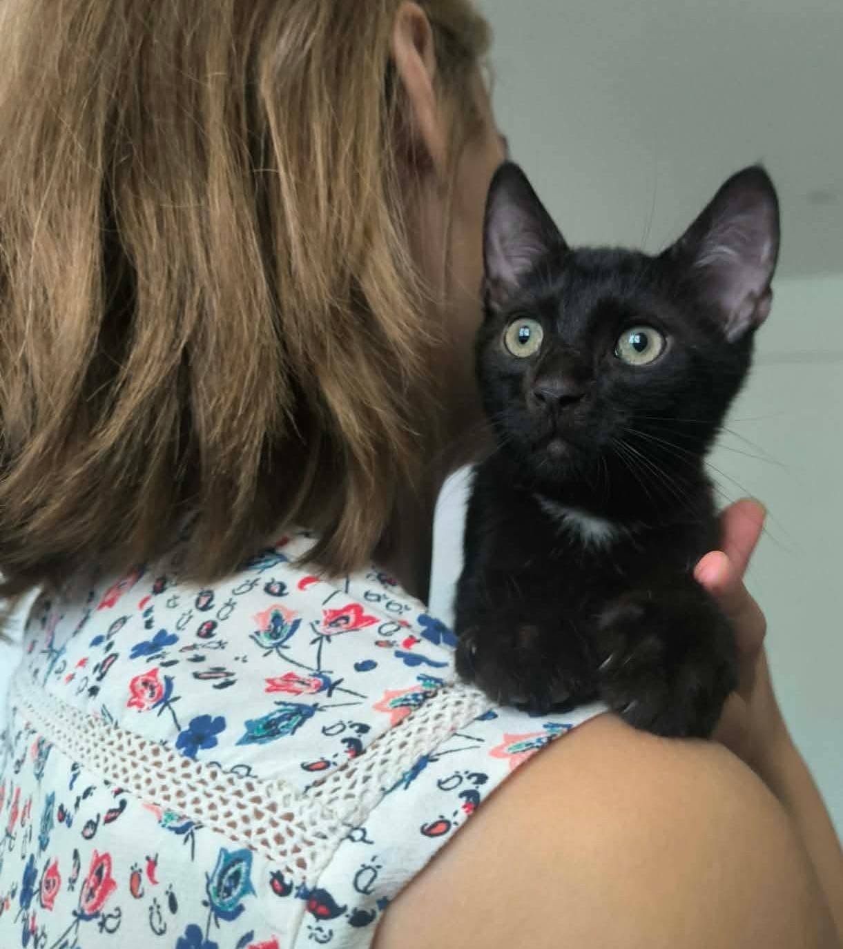 Adopter Copa