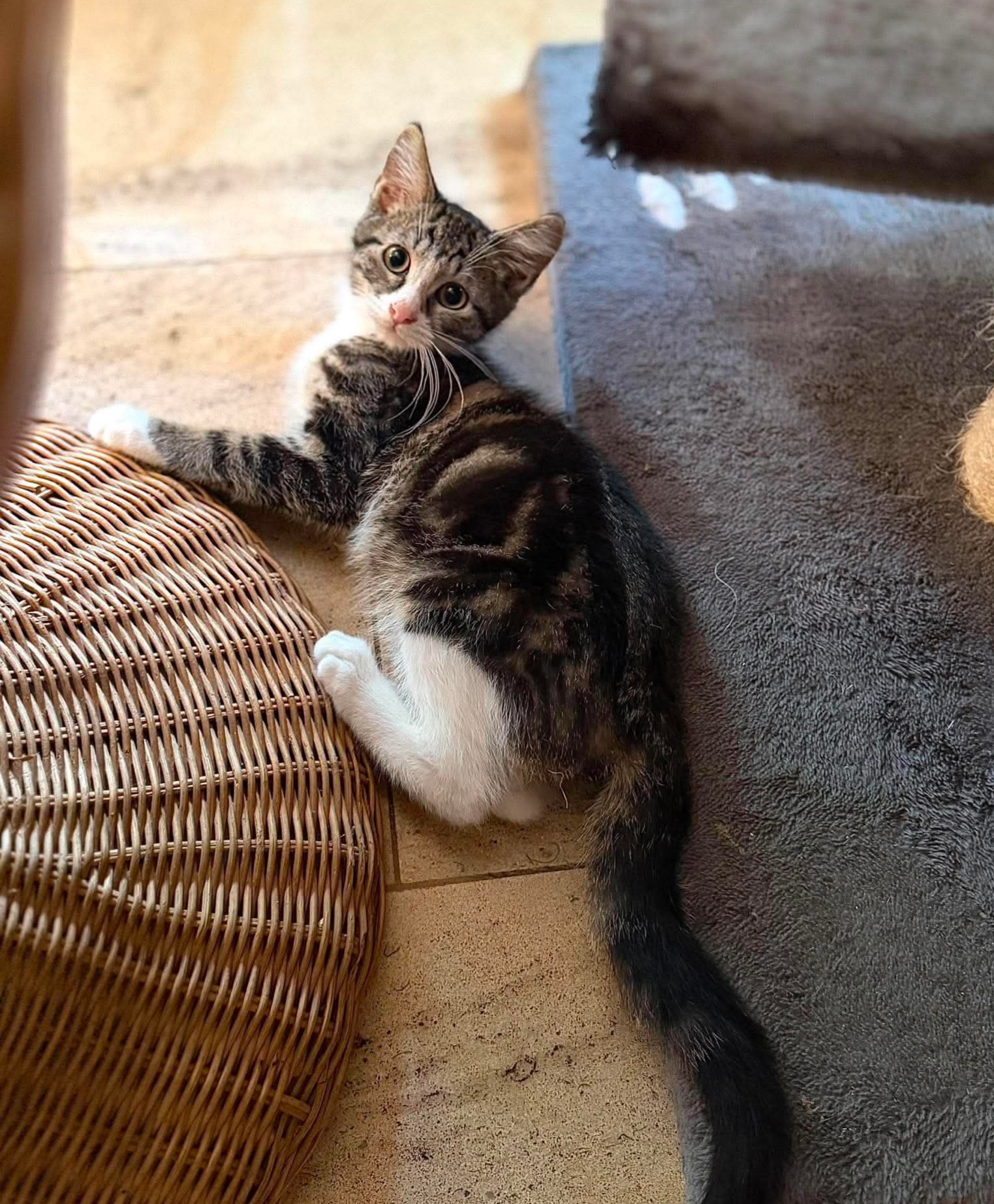 Adopter Isack