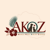 Logo association Akoz