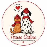 Logo association Association Pause Câline