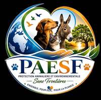 Logo association PAESF