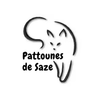Logo association Pattounes de Saze