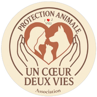 Logo association UN COEUR DEUX VIES