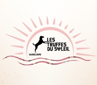 Logo association Les Truffes du soleil