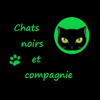 Logo association chats noirs et compagnie