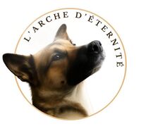 Logo association L'Arche d'Eternité