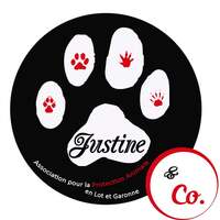 Logo association Justine & Co