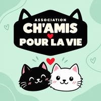 Logo association Ch'Amis pour la Vie