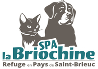Logo association Refuge SPA LA BRIOCHINE