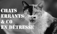 Logo association Chats Errants and Co en Détresse
