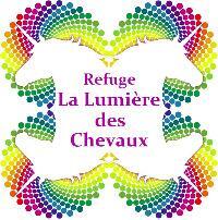 Logo association La Lumière des Chevaux
