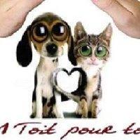 Logo association 1 Toit pour Toi