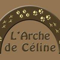 Logo association L'Arche de Céline