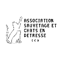 Logo association Association sauvetage et chats en détresse