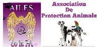 Logo association Ailes de la PA