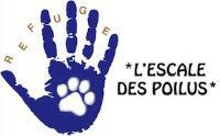 Logo association L'Escale des Poilus