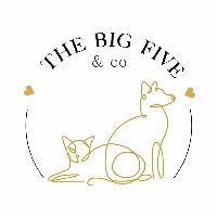 Logo association The Big Five & Co