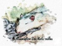 Logo association Rats-Cailles