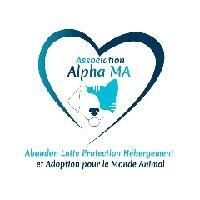 Logo association Alpha ma