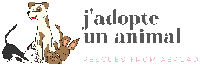 Logo association JADOPTE UN ANIMAL / LITTLE PEARLS