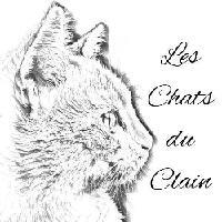 Logo association Les chats du clain