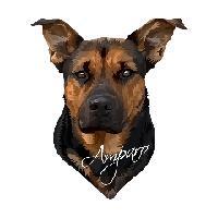 Logo association Amparo