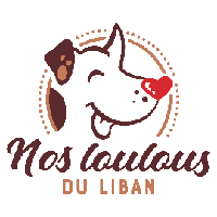 Logo association Nos Loulous du Liban