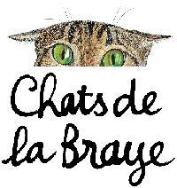 Logo association CHATS DE LA BRAYE