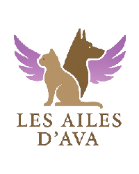 Logo association Association les Ailes d'Ava