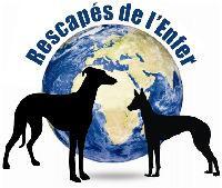 Logo association Rescapés de l'Enfer