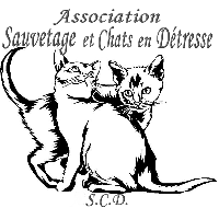 Logo association Sauvetage et Chats en Détresse