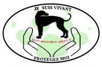 Logo association GALGOS