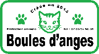 Logo association Boules d'Anges