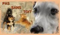 Logo association Pas Sans Toit