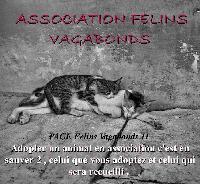 Logo association Félins Vagabonds