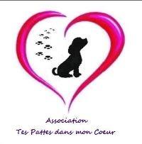 Logo association Tes Pattes dans mon Coeur