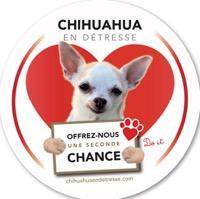 Logo association Chihuahua en Détresse