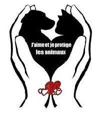 Logo association U Felinu