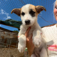 Adopter : LUBI