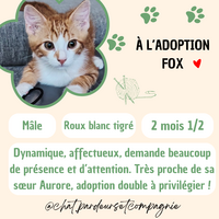 Adopter : Fox